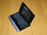 Palmax PD-1100