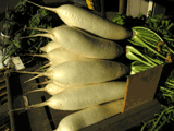 miura-daikon radish, pile